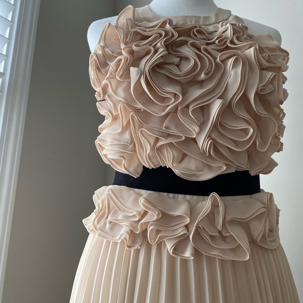 BCBGMAXAZRIA Dress. Size 2. Blush, halter, pleated, Midi dress.